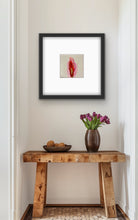 Carica l'immagine nel visualizzatore di Gallery, Introitus
